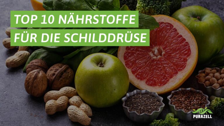 schilddruesen vitamine