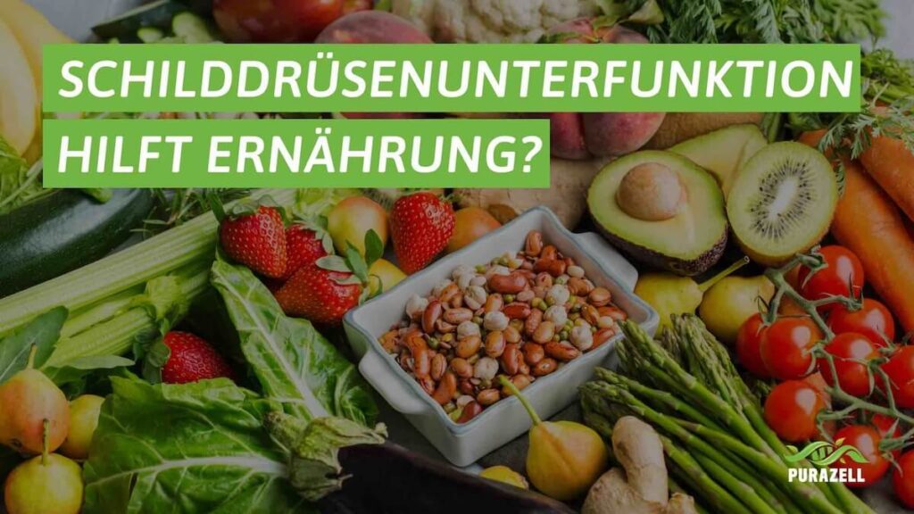 schilddruesenunterfunktion ernaehrung