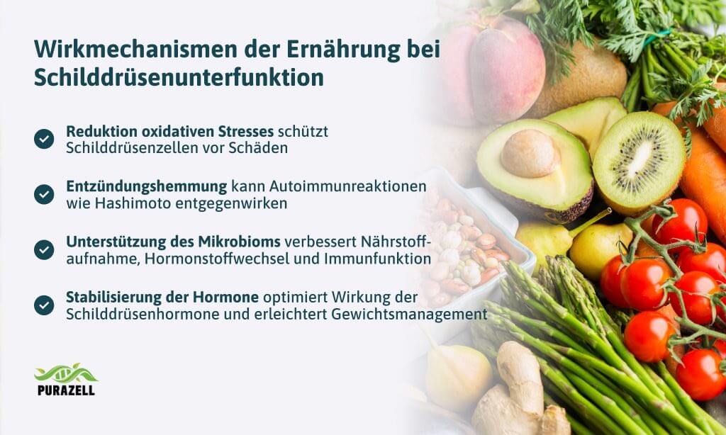 schilddruesenunterfunktion-ernaehrung-wirkmechanismen