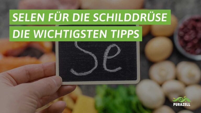 selen schilddruese