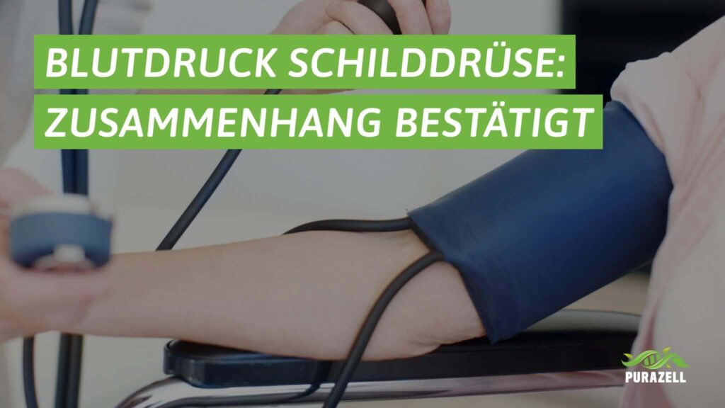 blutdruck-schilddruese