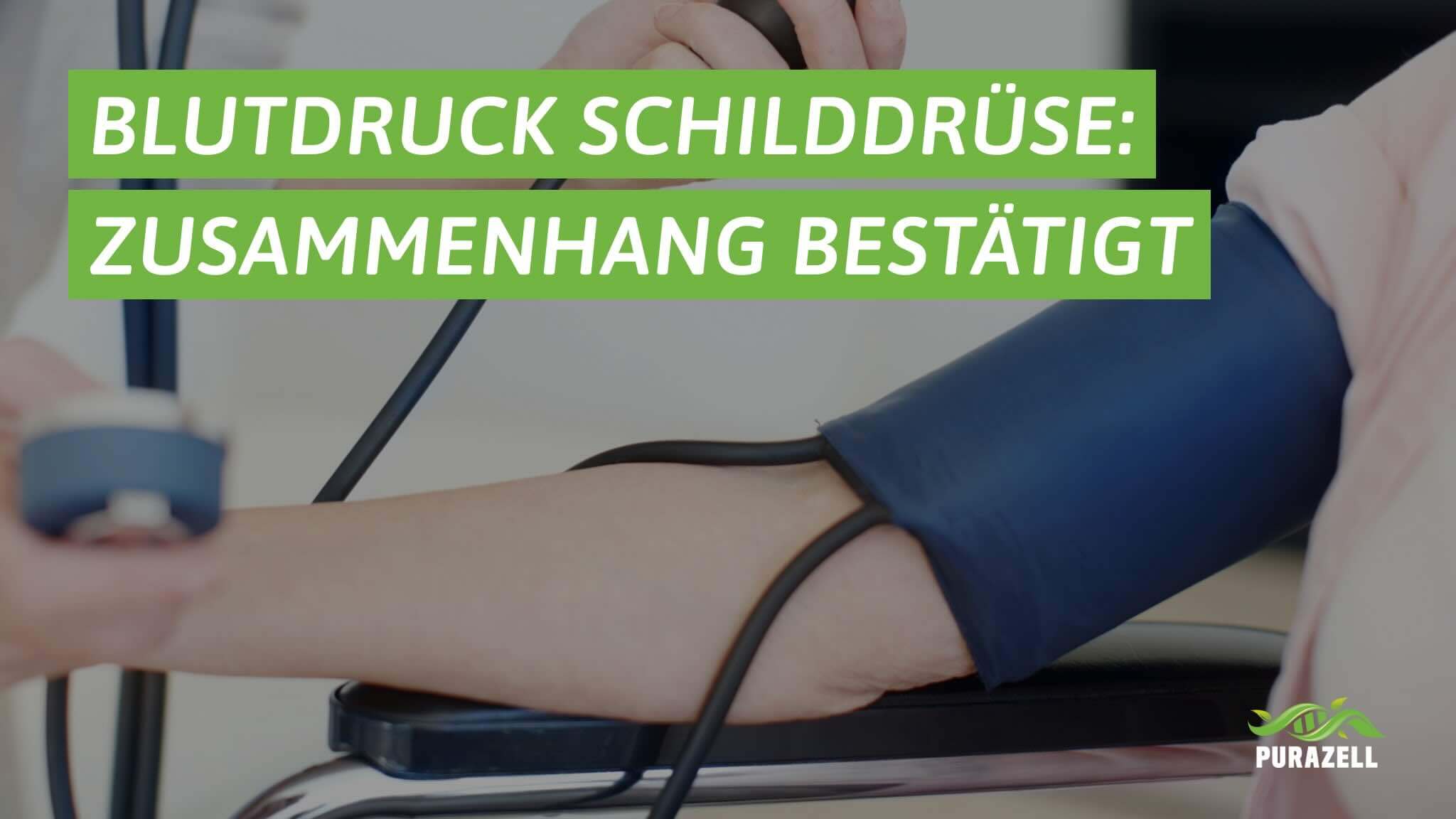 blutdruck-schilddruese