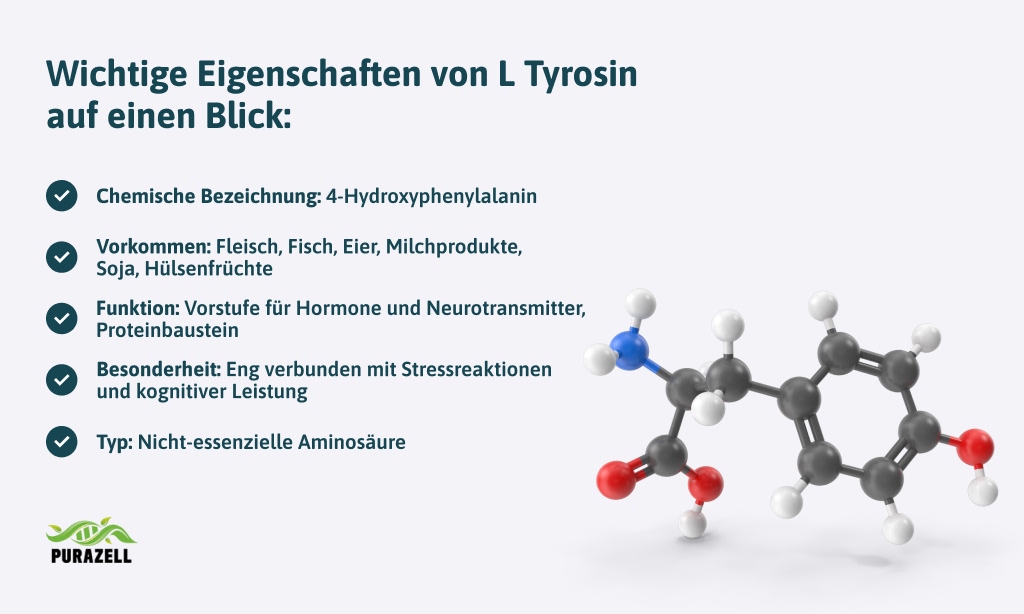 l-tyrosin-wirkung-eigenschaften
