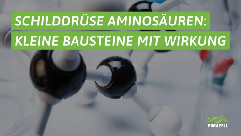 schilddruese-aminosaeuren