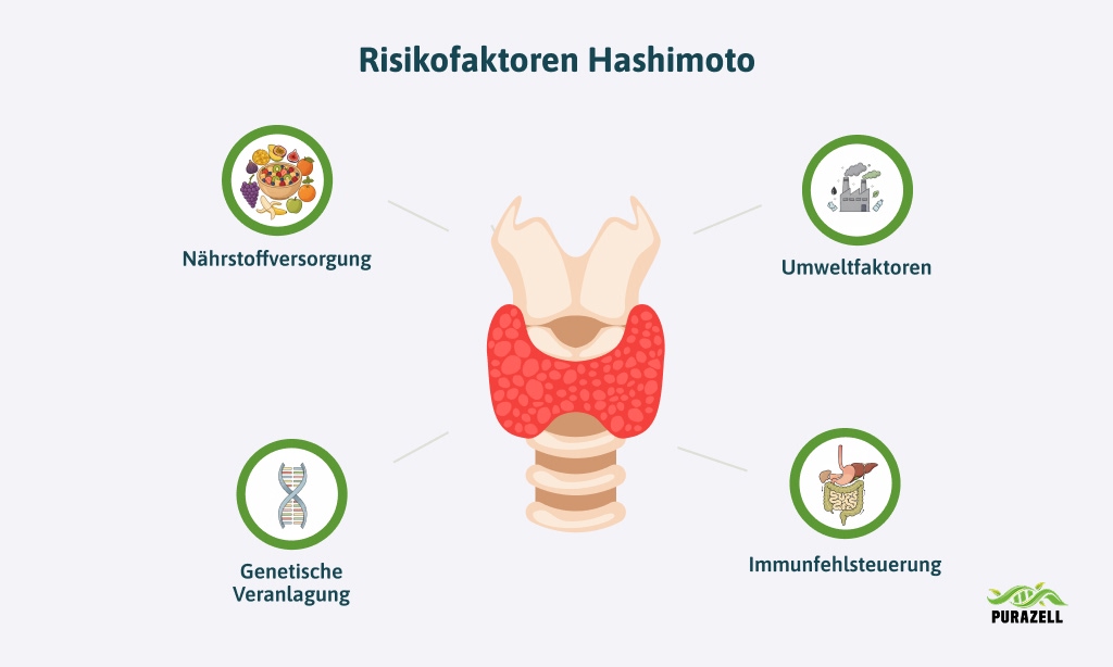 selen-bei-hashimoto-risikofaktoren