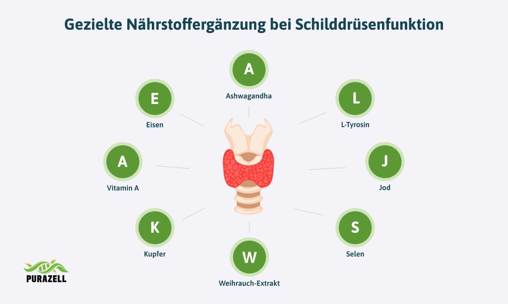 selen-bei-schilddruesenunterfunktion-wirkstoffe