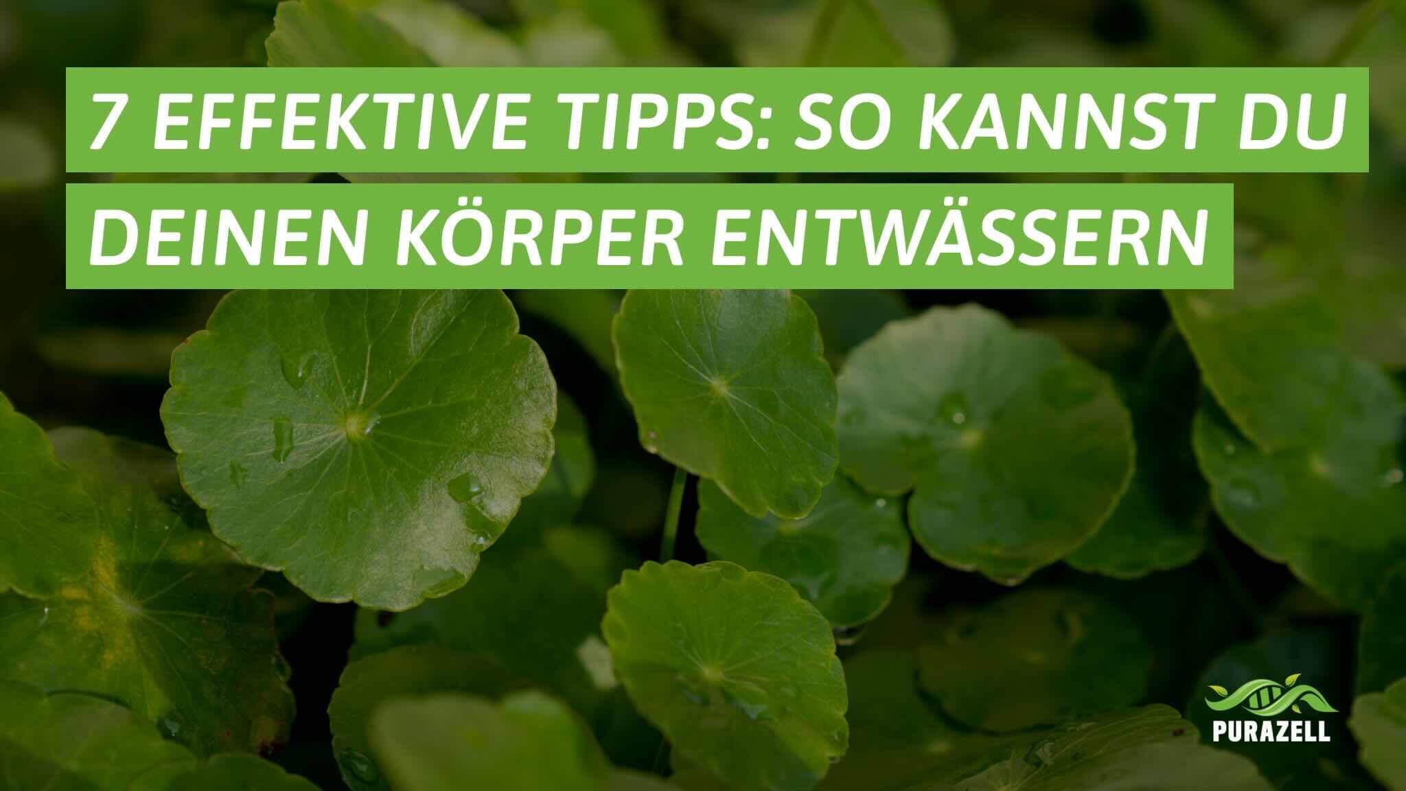 koerper entwaessern
