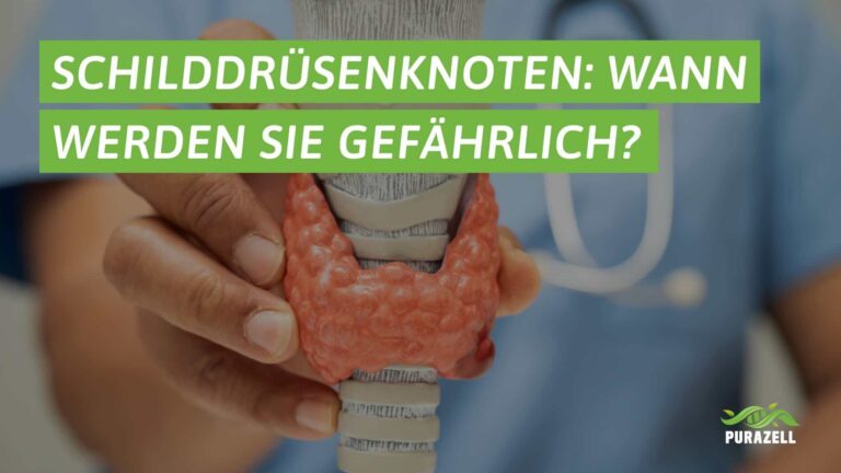 schilddruesenknoten