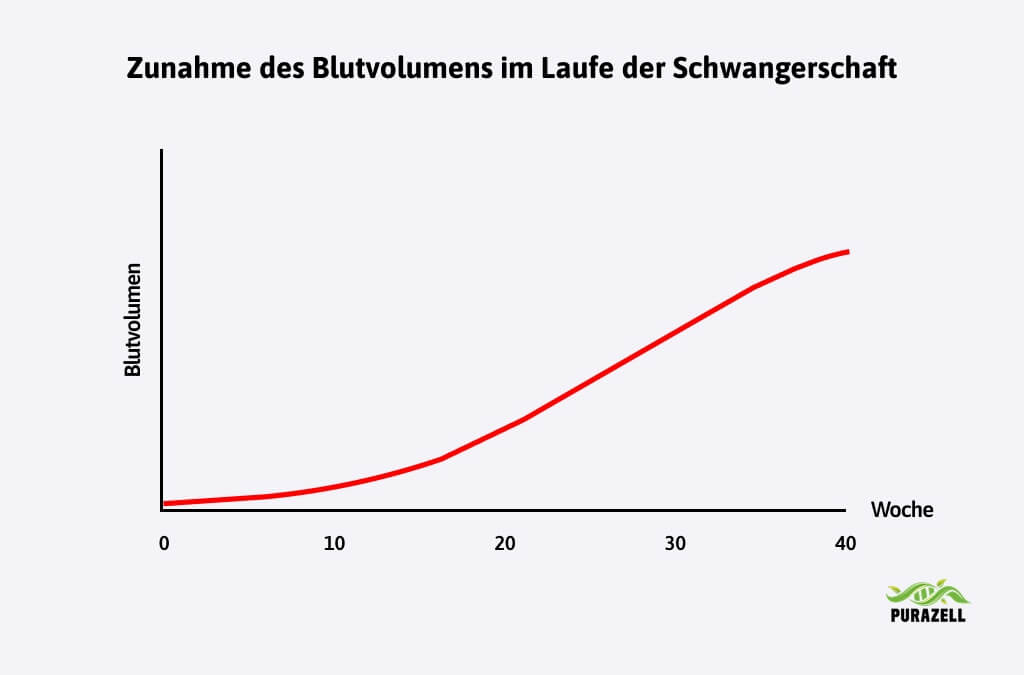 wassereinlagerung-schwangerschaft-blutvolumen