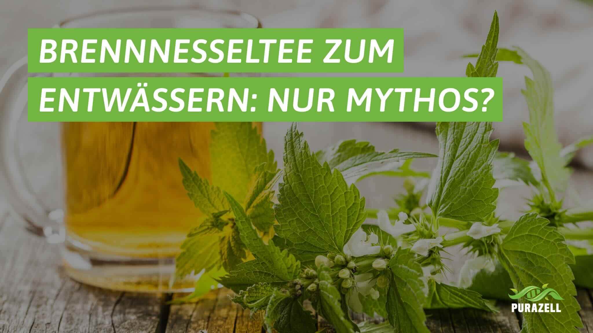 brennesseltee zum entwaessern