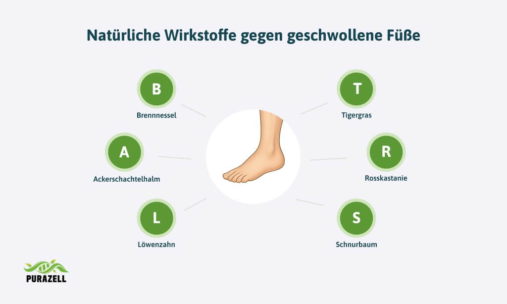 fuesse-geschwollen-wirkstoffe