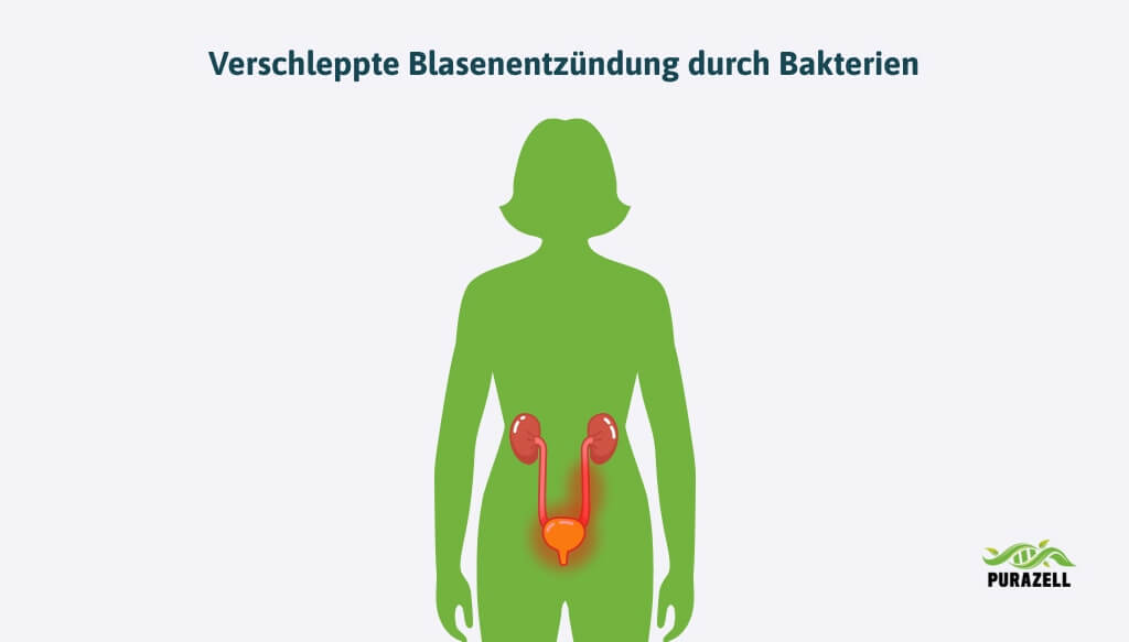 blasenentzuendung-ernaehrung-ansteckend-verschleppte-blasenentzuendung