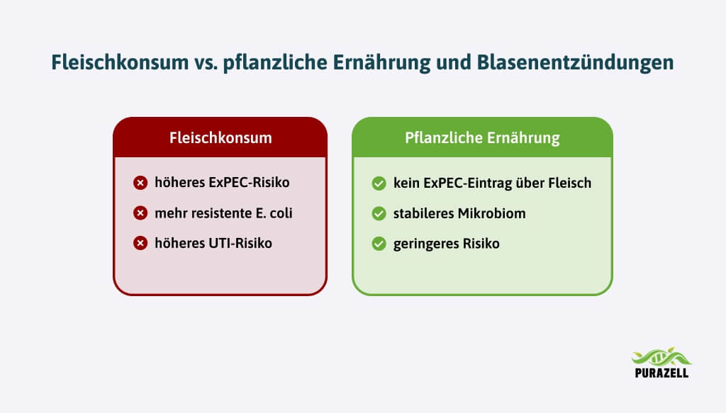 blasenentzuendung-ernaehrung-fleischkosnum-vs-pflanzliche-ernaherung