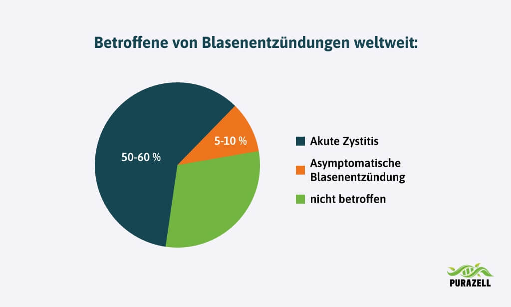 blasenentzuendung-ohne-brennen