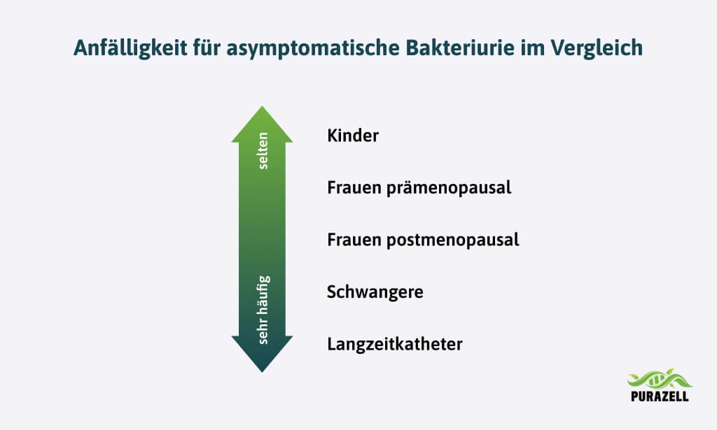 blasenentzuendung-ohne-brennenanfaelligkeit-bakteriurie