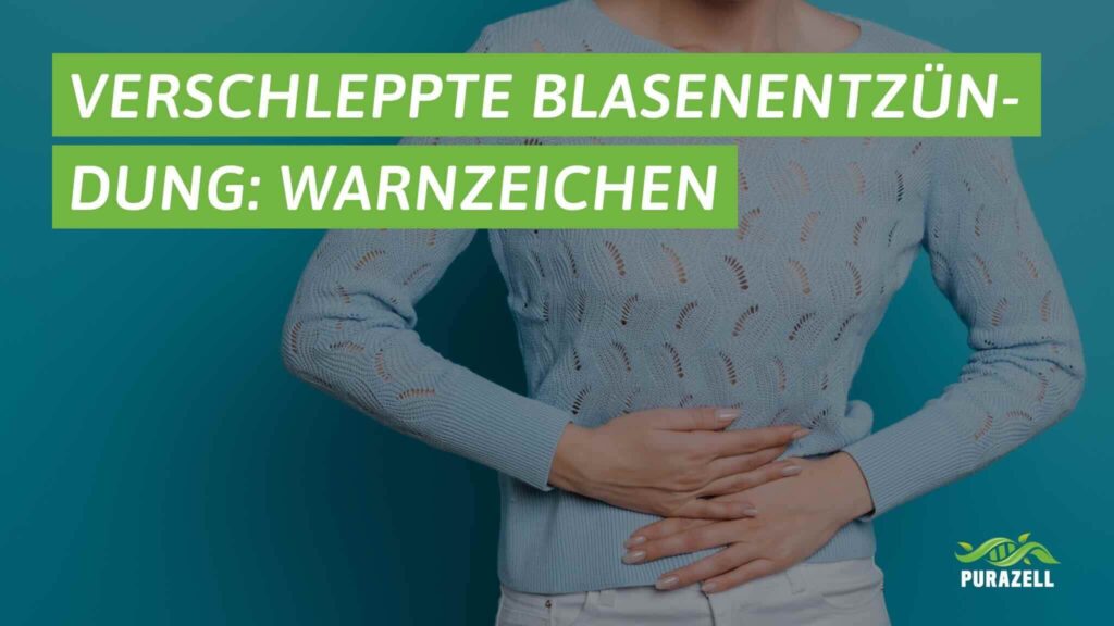 verschleppte blasenentzuendung