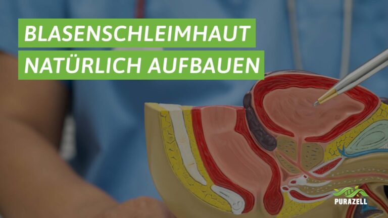 blasenschleimhaut-aufbauen