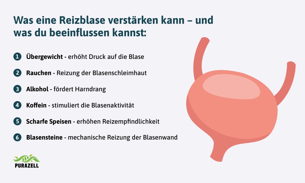 blasenschleimhaut-aufbauen-reizblase