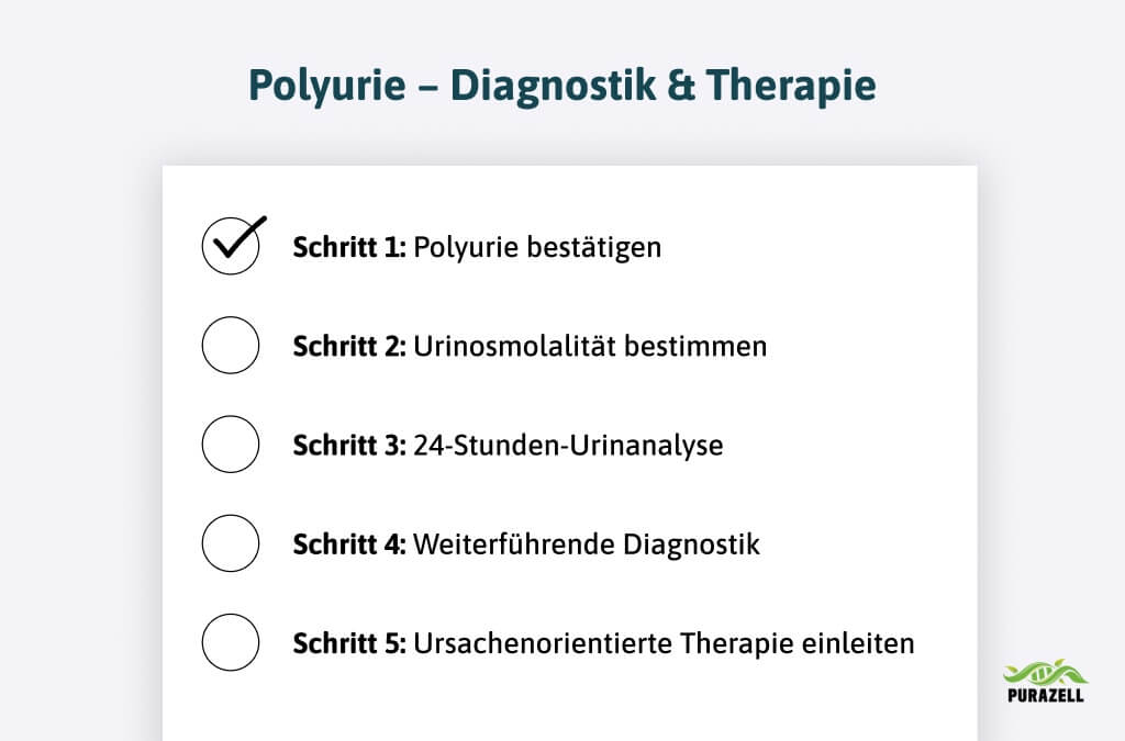 polyurie-diagnostik-therapie