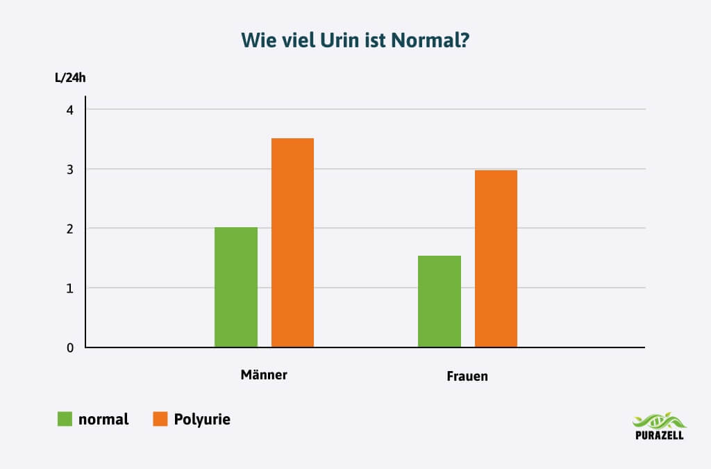 polyurie-wie-viel-urin-ist-normal