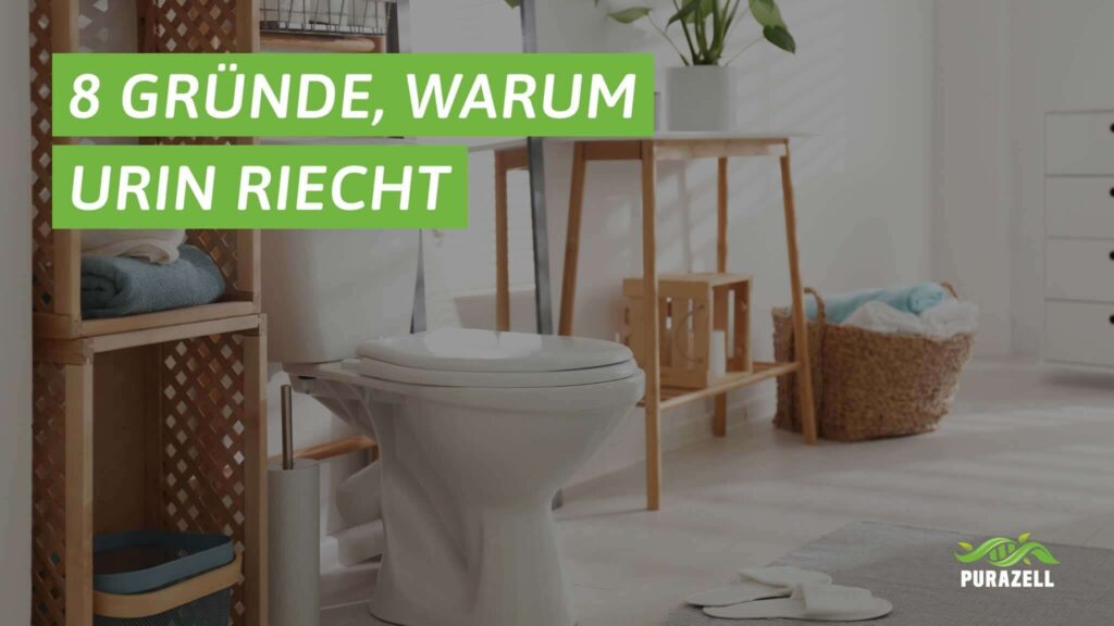 urin-riecht