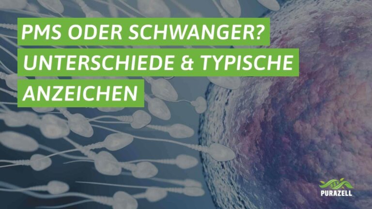 pms-oder-schwanger