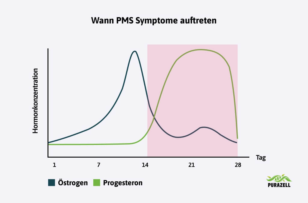pms-wann-pms-symptome-auftreten