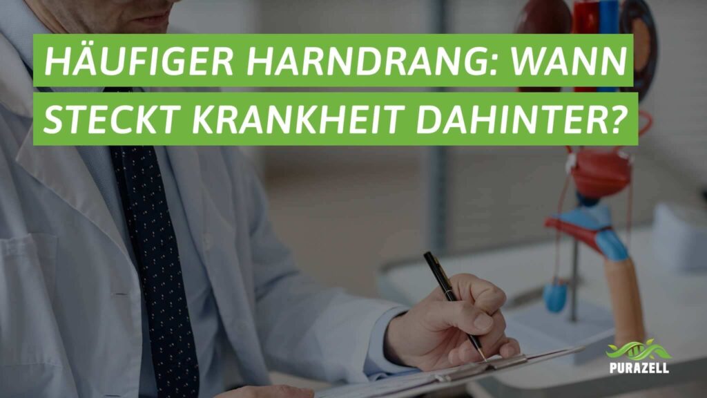 haeufiger-harndrang