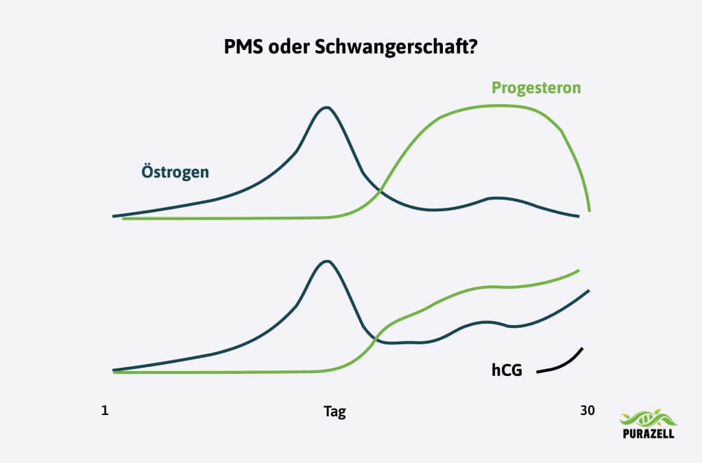 pms-oder-schwangerschaft