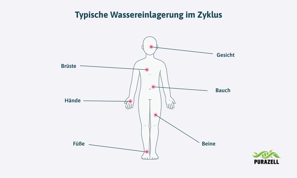 wassereinlagerung-periode-koerperteile