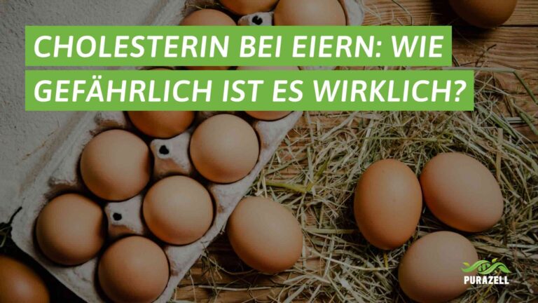 cholesterin-bei-eiern-beitragsbild