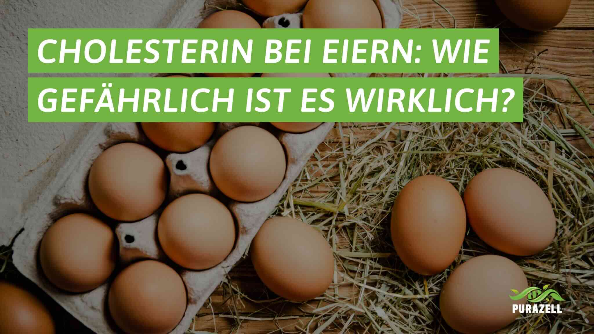 cholesterin-bei-eiern-beitragsbild