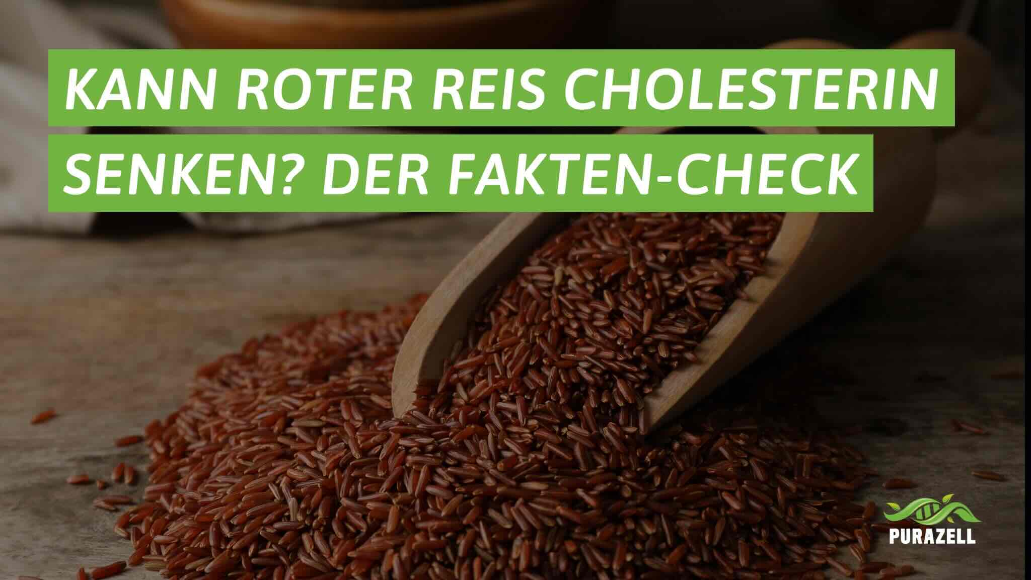roter-reis-cholesterin-beitragsbild