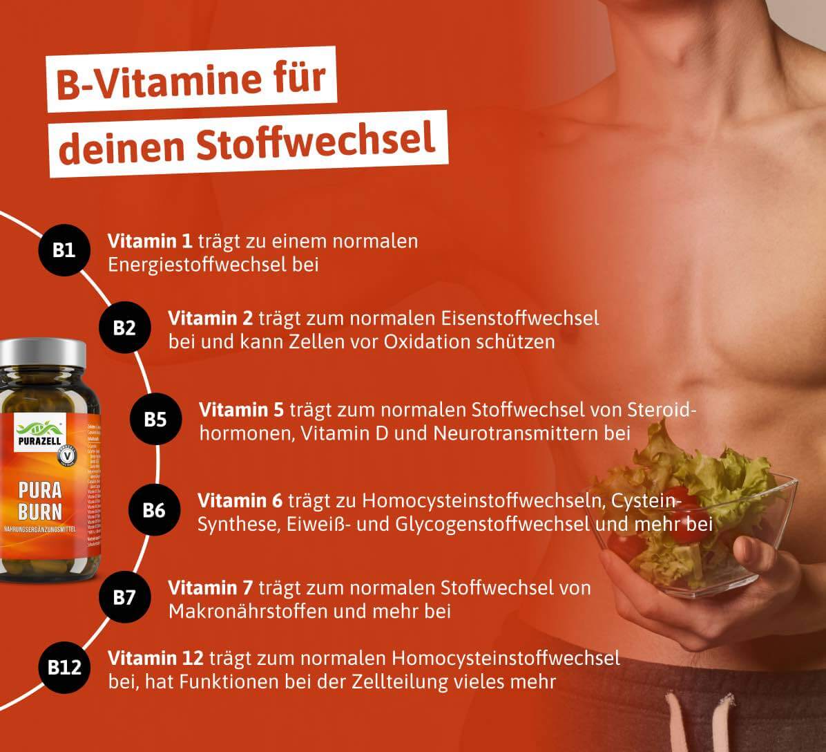 purazell-puraburn-b-vitamine-fuer-stoffwechsel